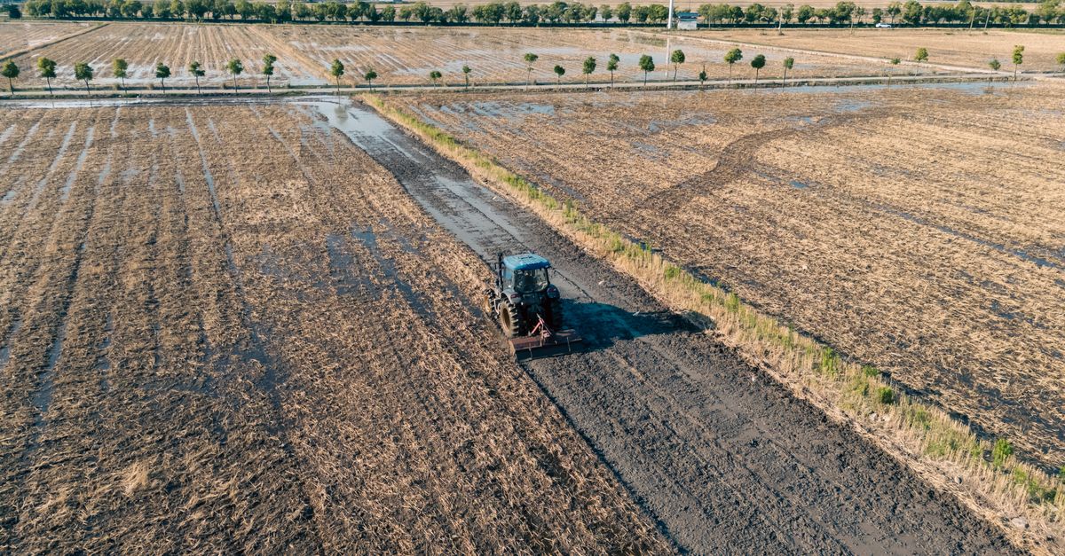 Aerial shot of a tractor plowing a wet field in Hangzhou, Zhejiang, China.